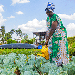 dairy farm production business plan