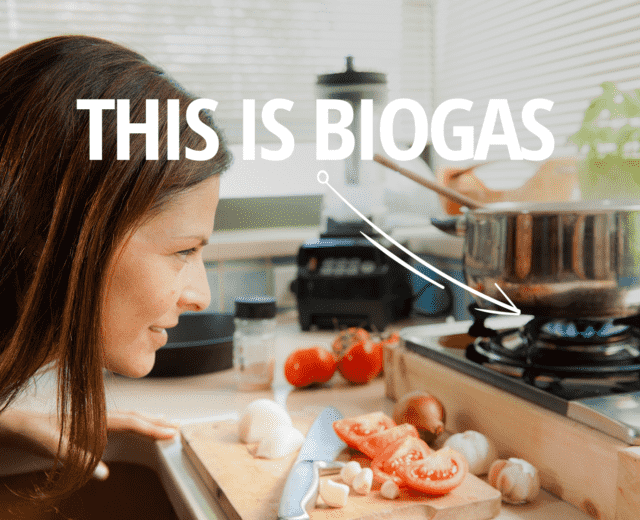 Biogas cooking