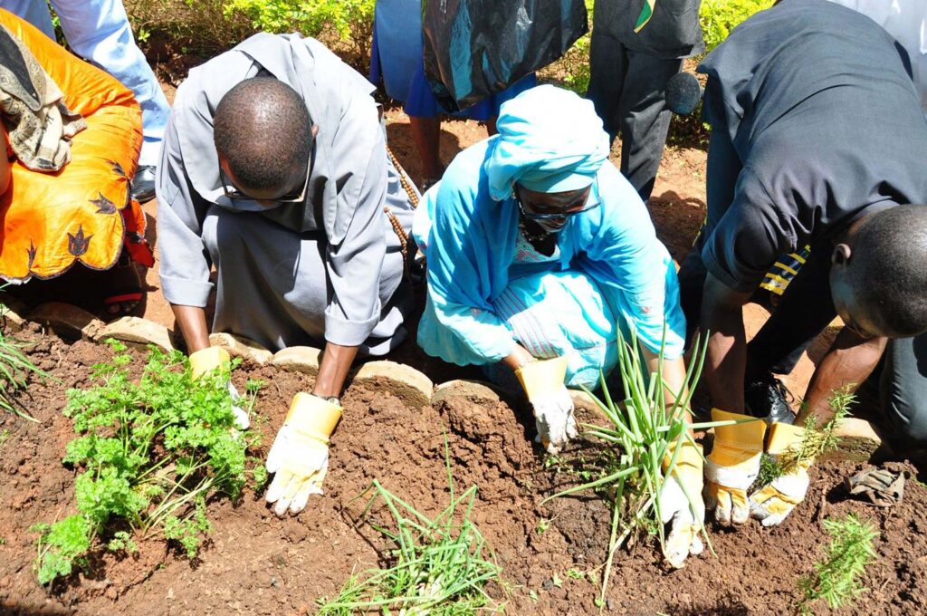 Planting in Cameroon