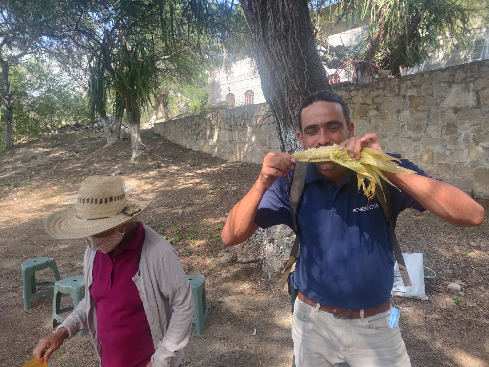 Delicious corn grown with Bio-Fertilizer