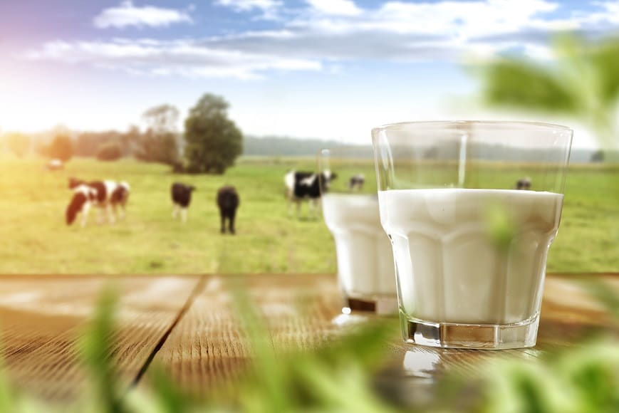 dairy farm production business plan
