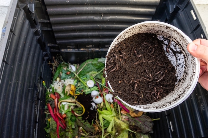 Another food waste composter method is vermicompost or worm compost.