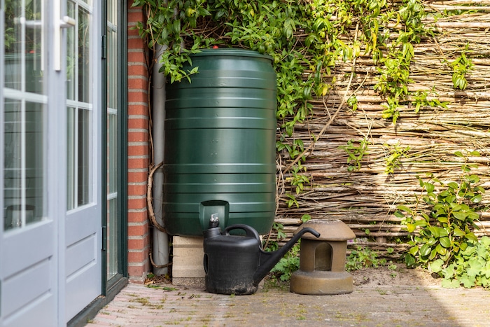A rain barrel to collect rainwater to help water conservation and promote sustainable gardening practices. Eco gardening ideas for beginners.