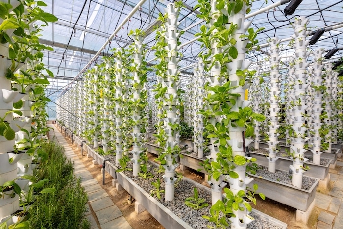 green farming examples - vertical farming