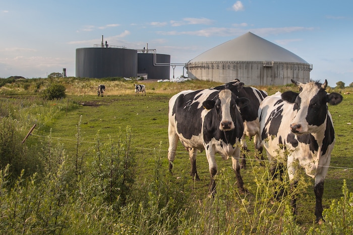 One notable advancement in this field is the development of anaerobic digesters. These systems are sealed anaerobic (oxygen-free) environments that transform manure and organic waste.