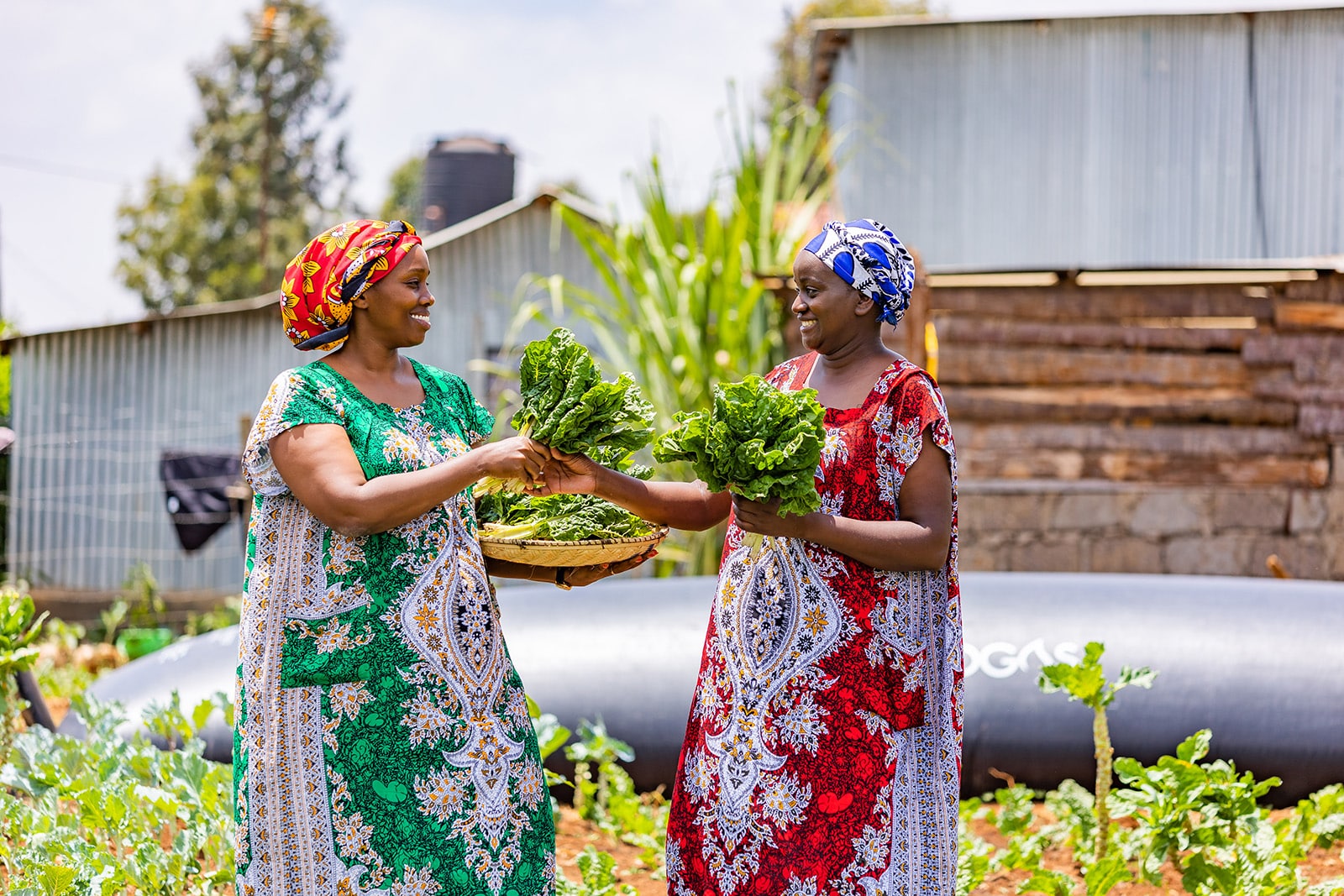 HomeBiogas Achieves Gold Standard Certification: A Leap Towards Sustainable Living in Kenya
